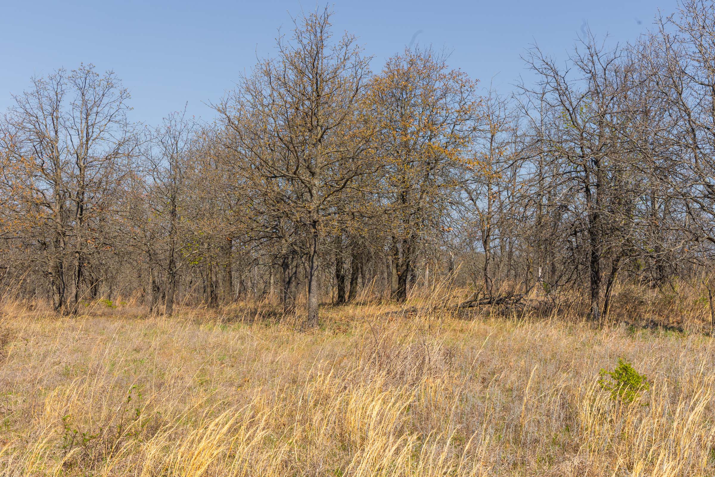 Tract 1 at Jlh Estates in Okfuskee County, Oklahoma
