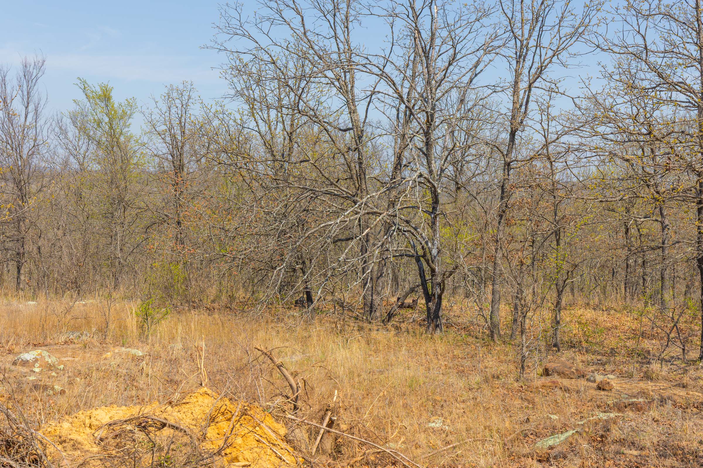 Tract 10 at Jlh Estates in Okfuskee County, Oklahoma