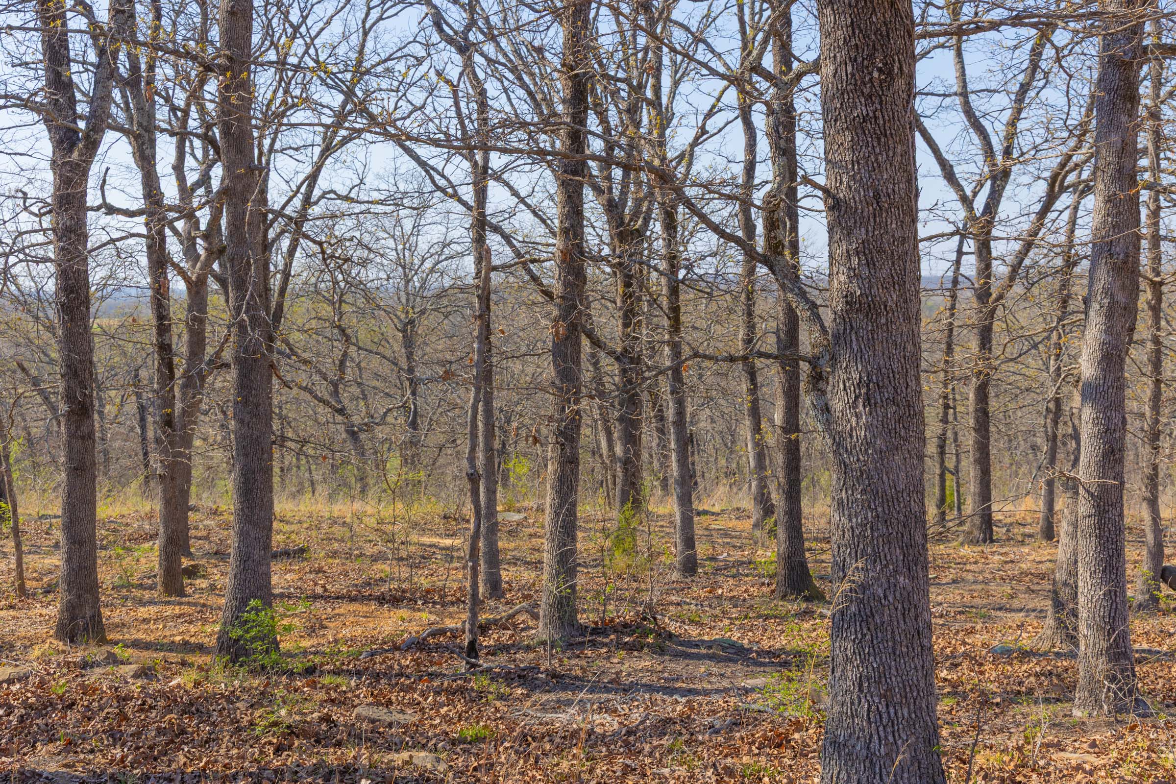 Tract 13 at Jlh Estates in Okfuskee County, Oklahoma