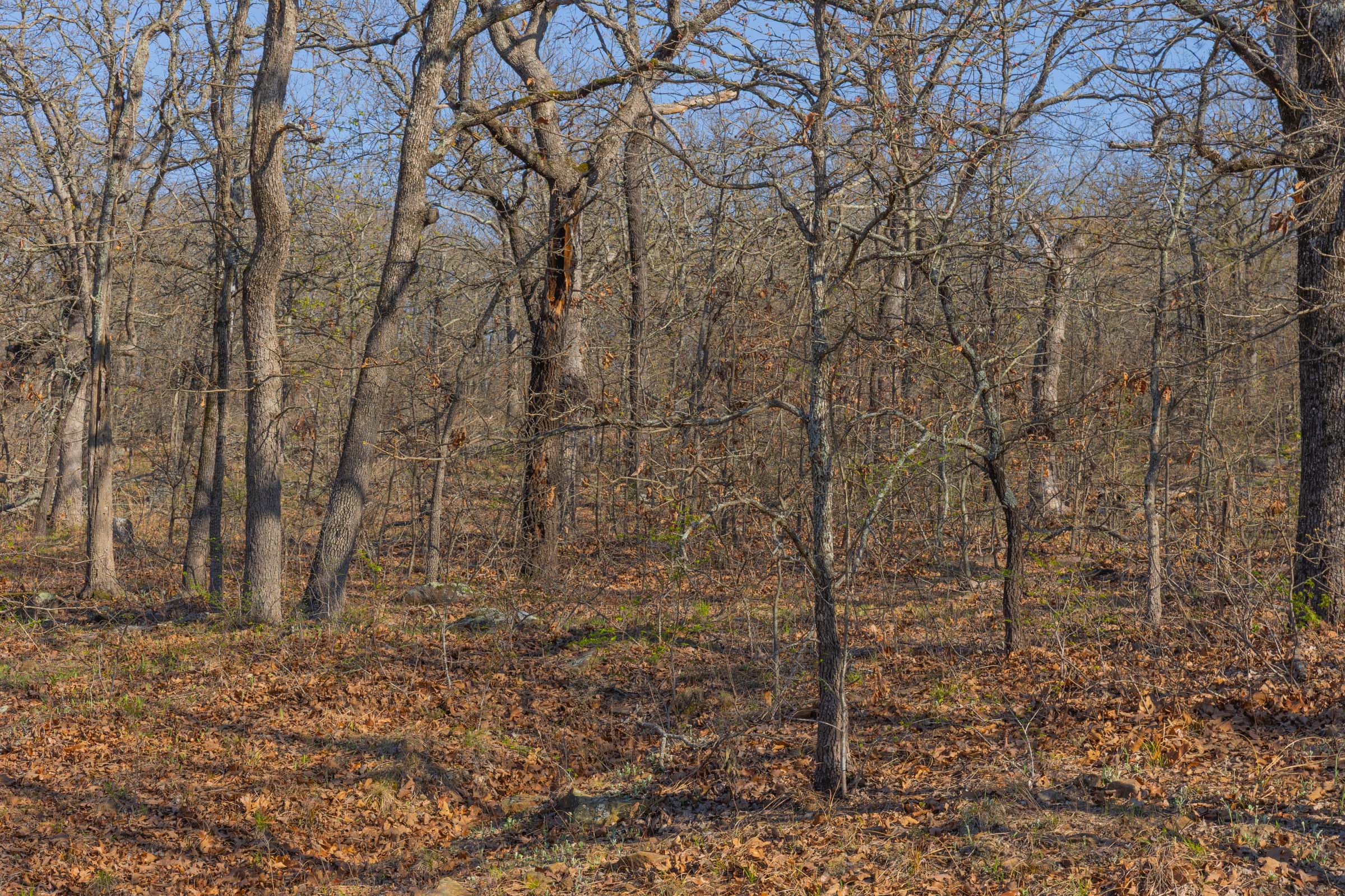 Tract 21 at Jlh Estates in Okfuskee County, Oklahoma