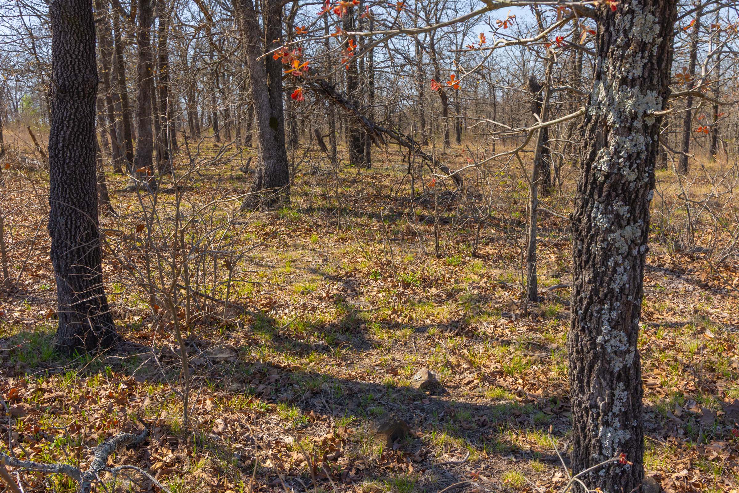 Tract 3 at Jlh Estates in Okfuskee County, Oklahoma