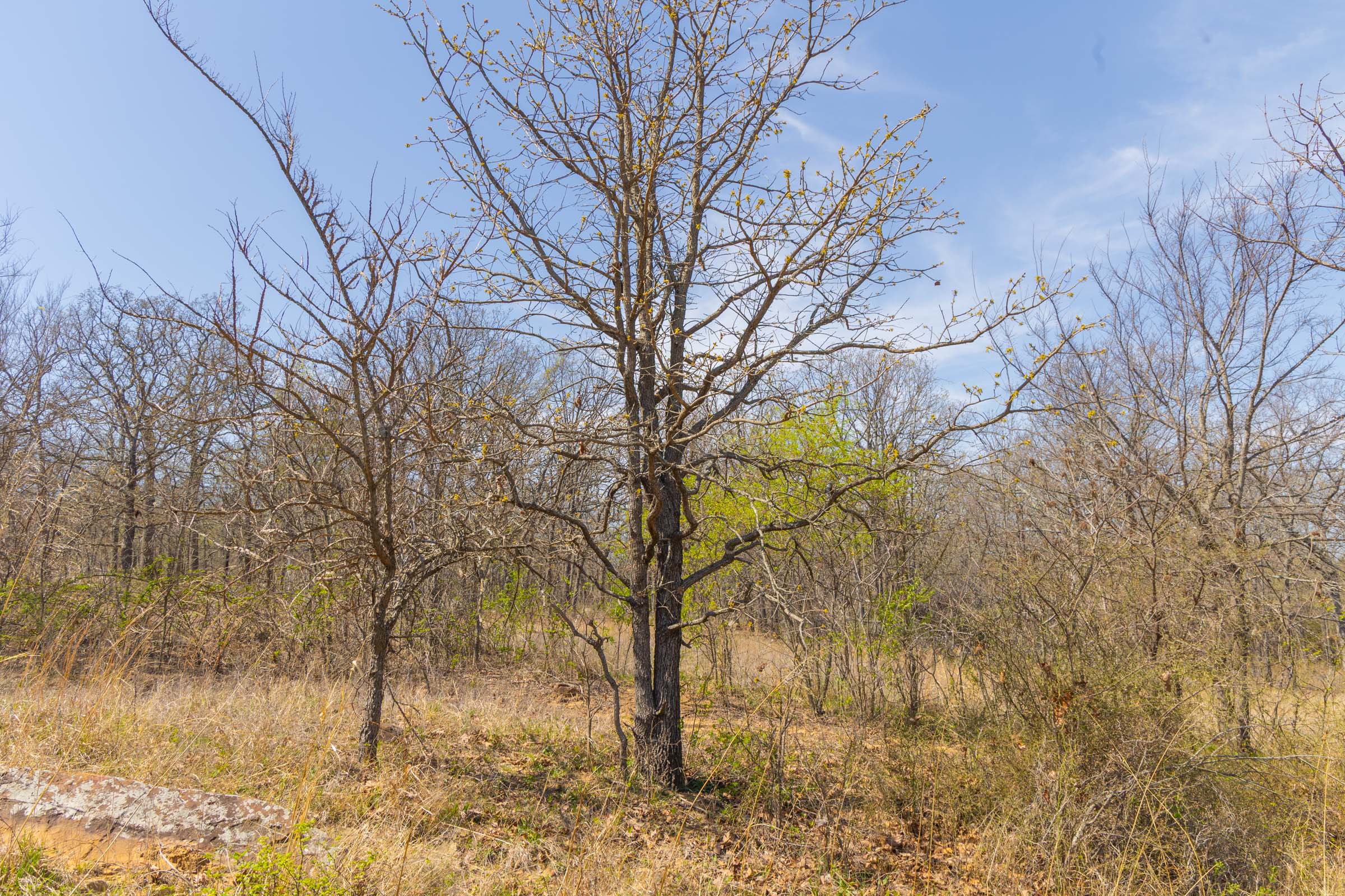 Tract 7 at Jlh Estates in Okfuskee County, Oklahoma