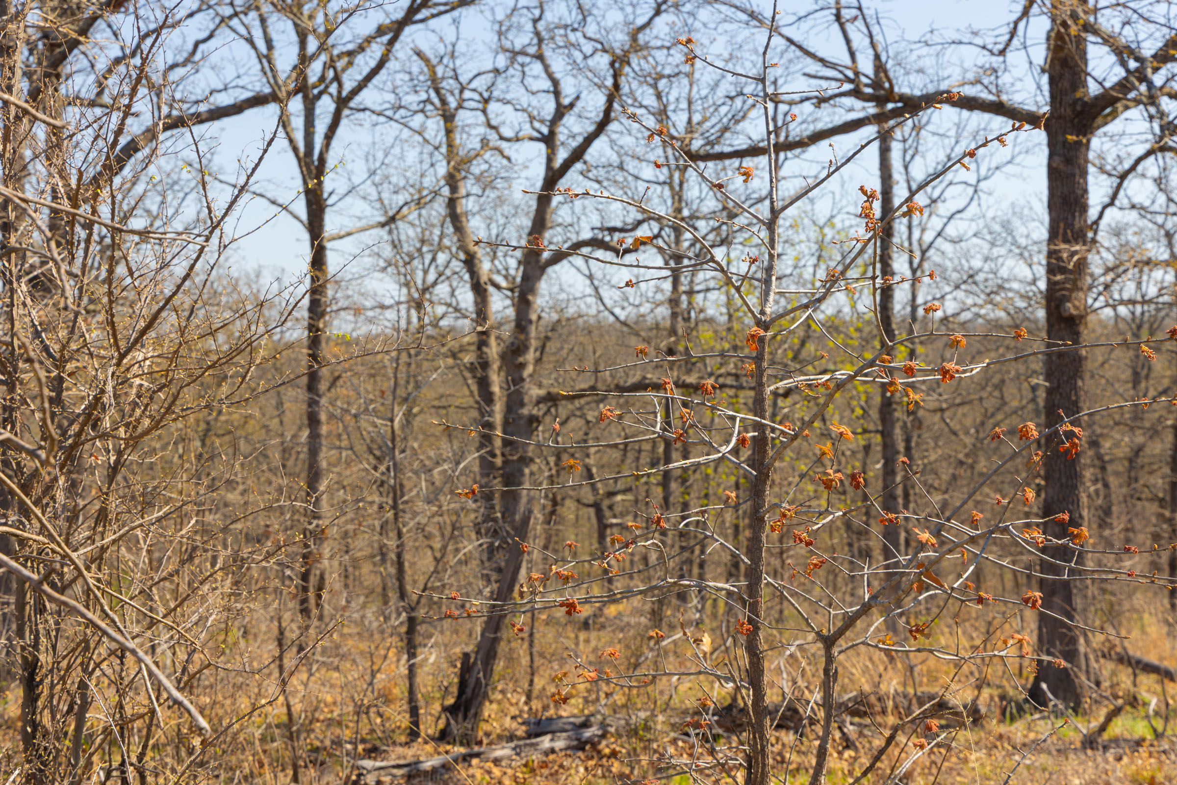 Tract 9 at Jlh Estates in Okfuskee County, Oklahoma
